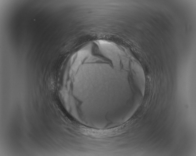 X0000081570039200702121433