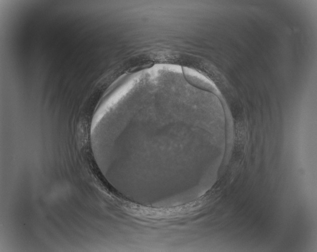 X0000081570043200702121433