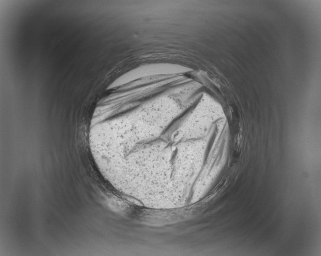 X0000081570045200702121433