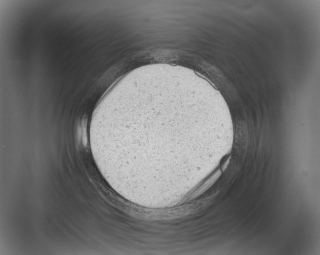 X0000081570046200702121433