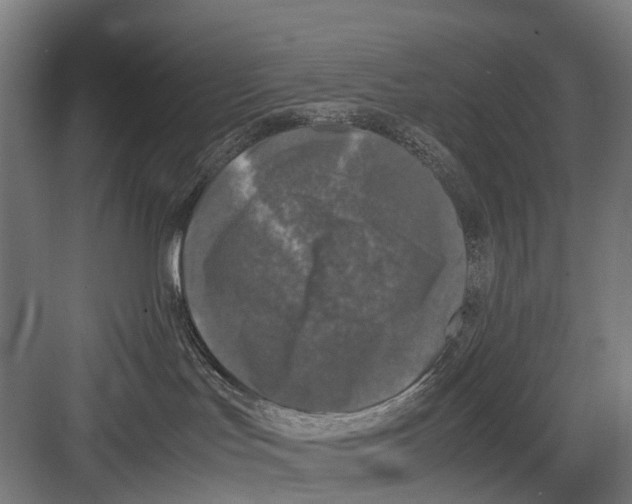 X0000081570047200702121433