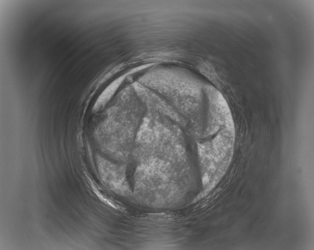 X0000081570050200702121432