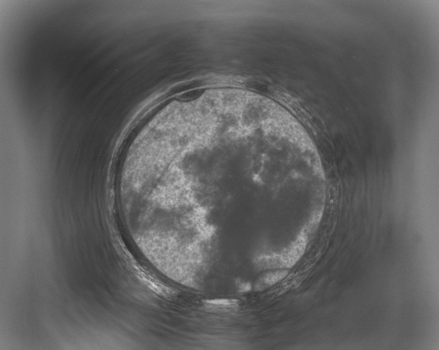 X0000081570053200702121432