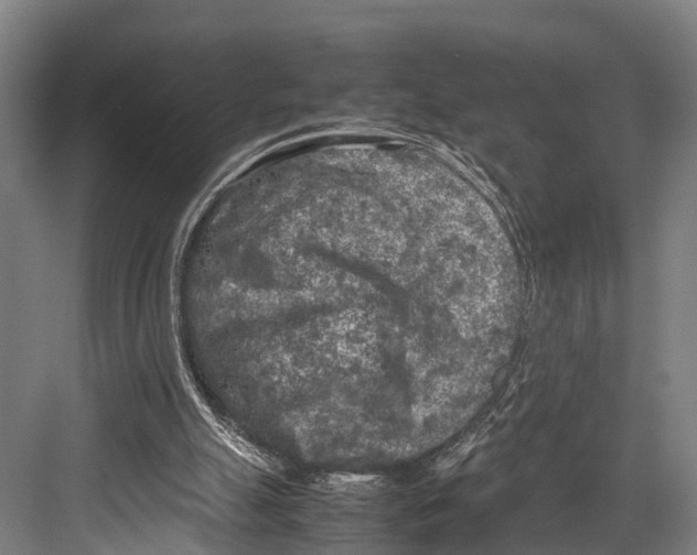 X0000081570055200702121432