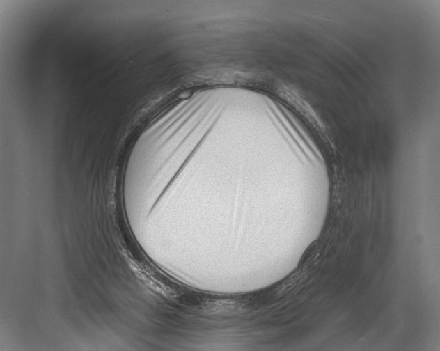 X0000081570058200702121432