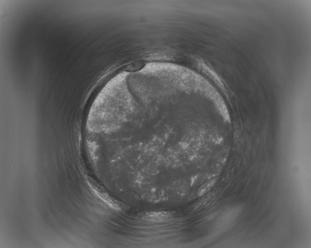 X0000081570059200702121432