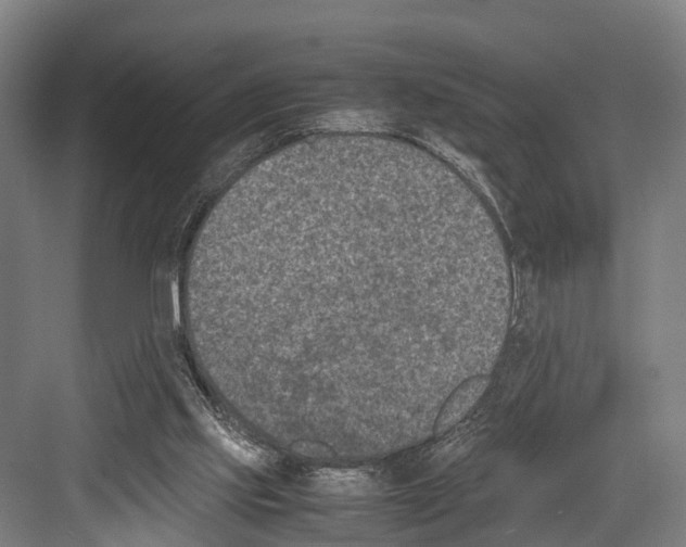 X0000081570061200702121432