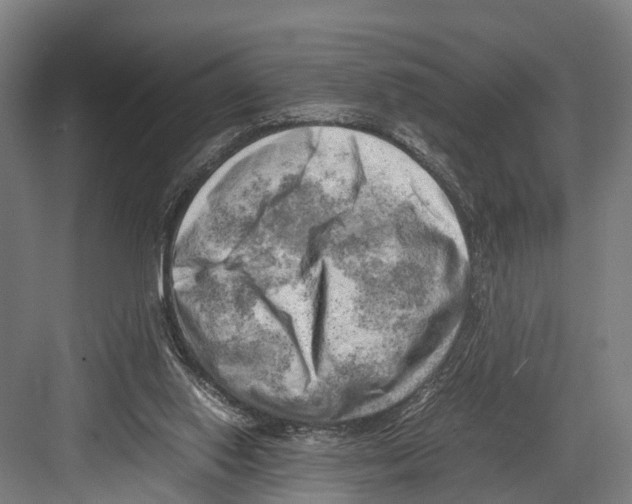 X0000081570062200702121432