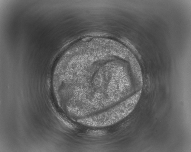 X0000081570063200702121432