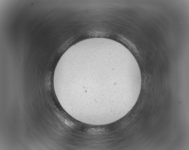 X0000081570065200702121432