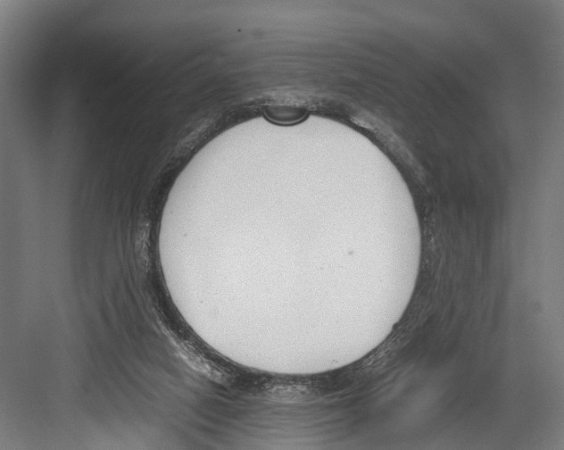 X0000081570066200702121432