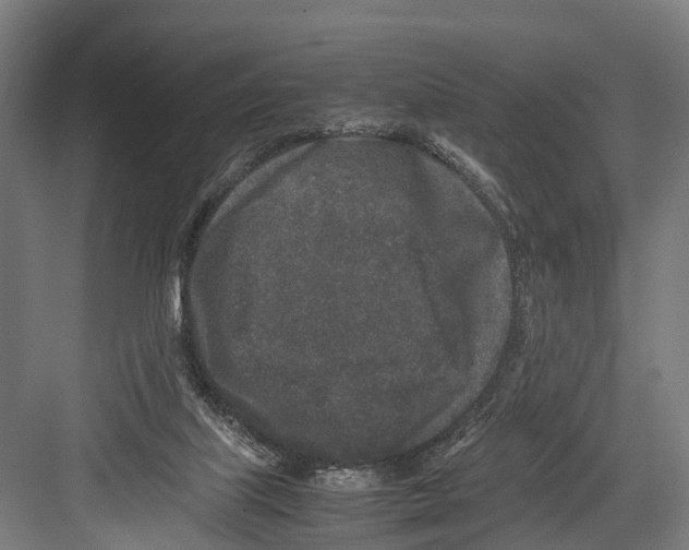 X0000081570067200702121432