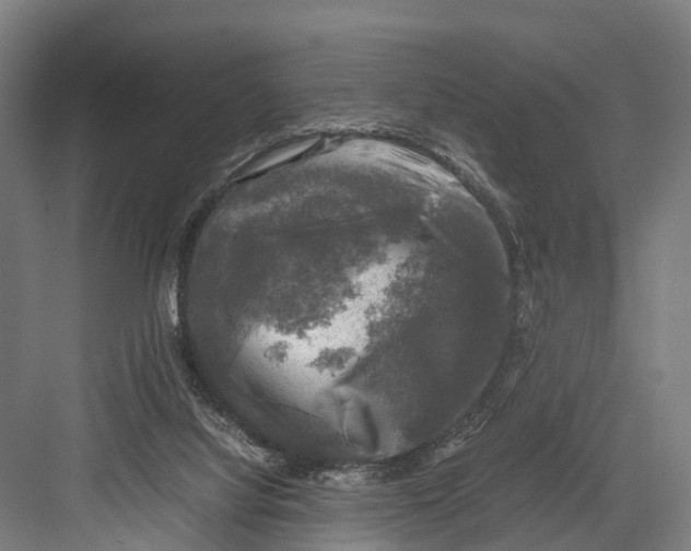 X0000081570068200702121432