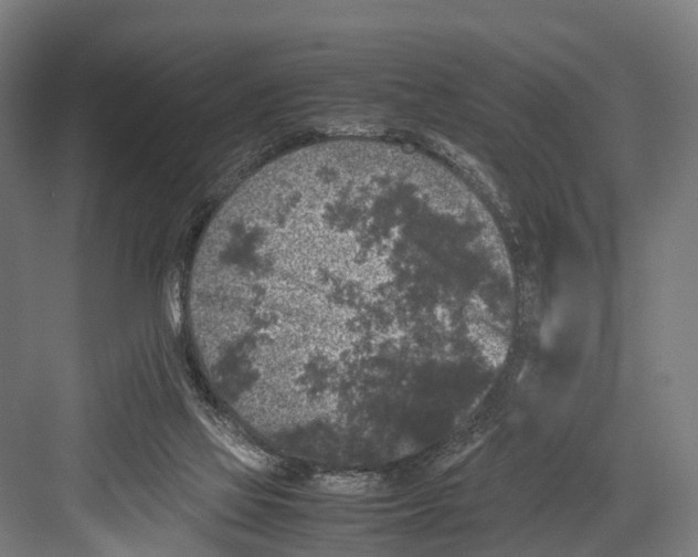 X0000081570069200702121432