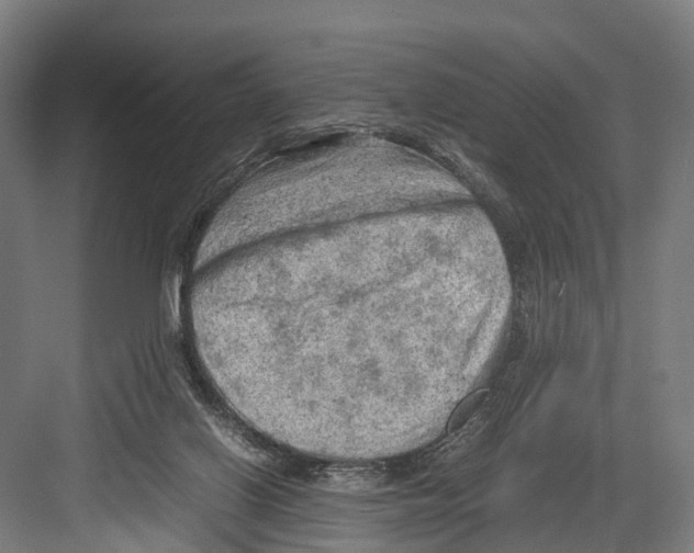 X0000081570070200702121432