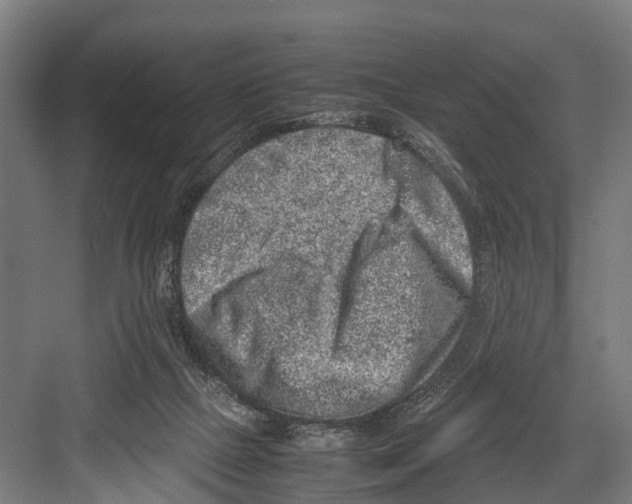 X0000081570073200702121432