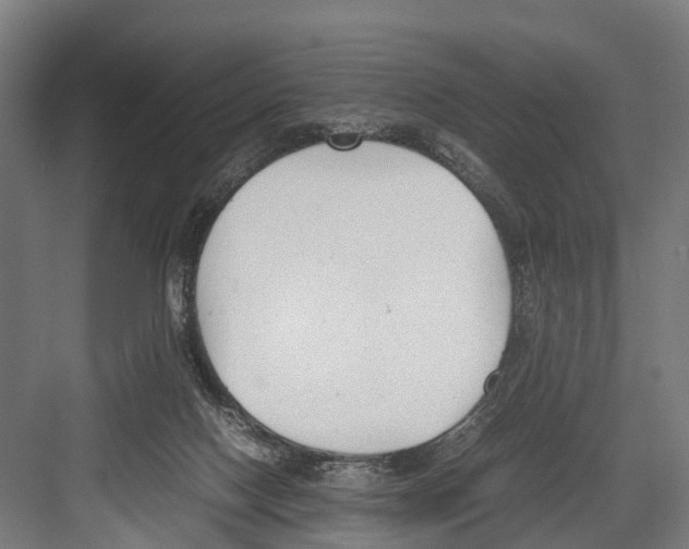 X0000081570074200702121432