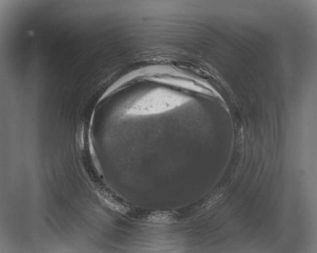 X0000081570076200702121432