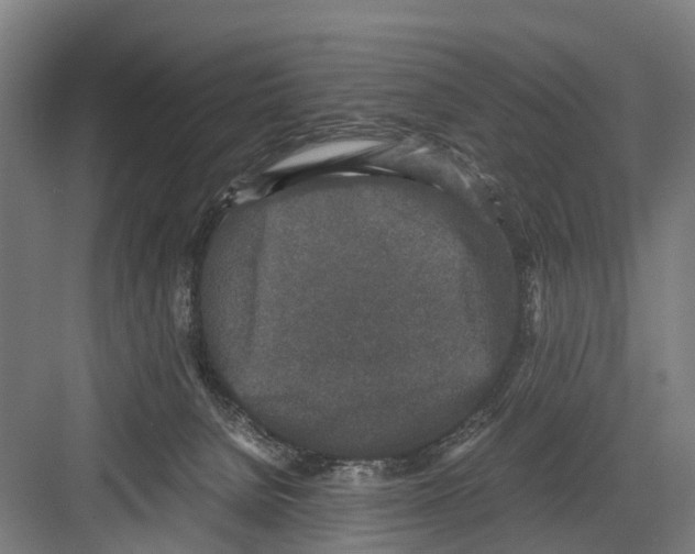 X0000081570080200702121433