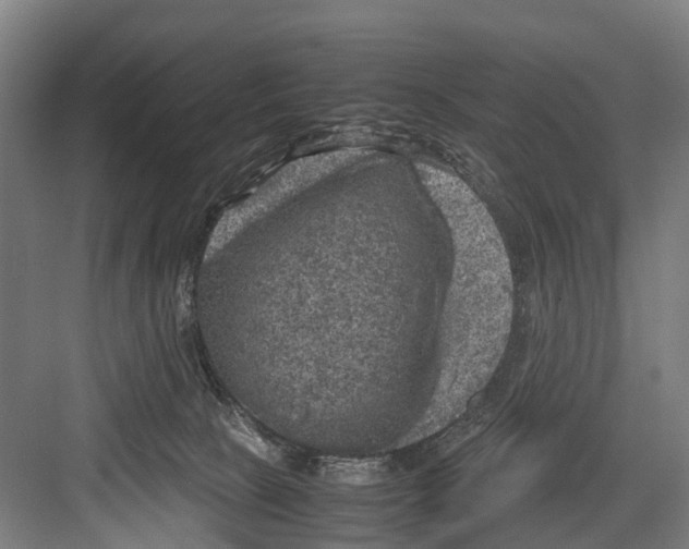 X0000081570081200702121433