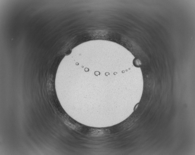 X0000081570083200702121433