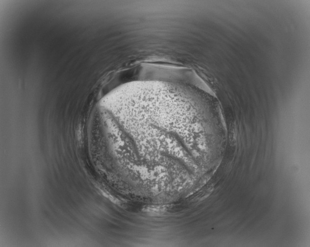 X0000081570084200702121433