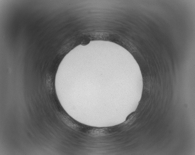 X0000081570086200702121433