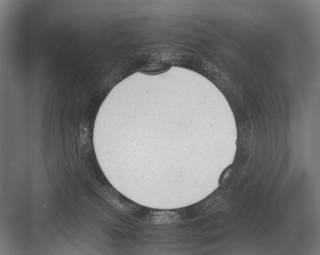 X0000081570087200702121433