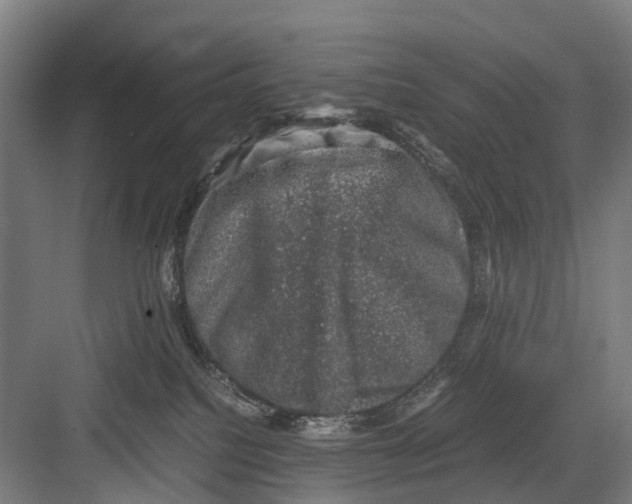 X0000081570088200702121433