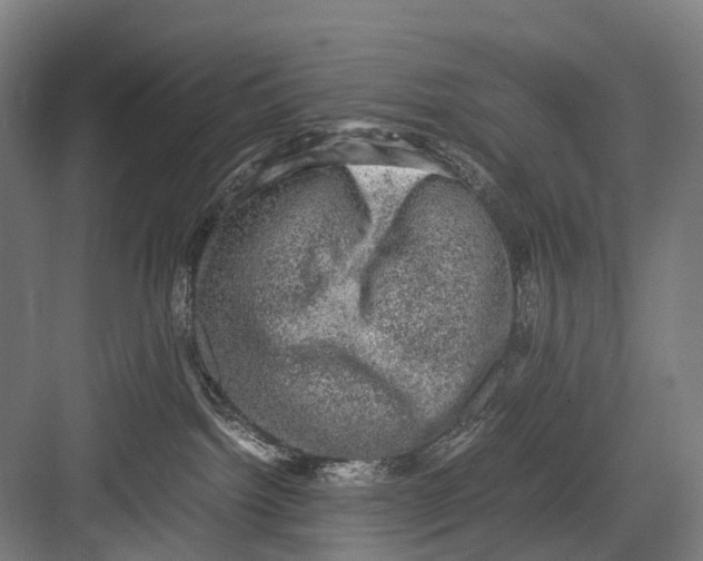 X0000081570092200702121433