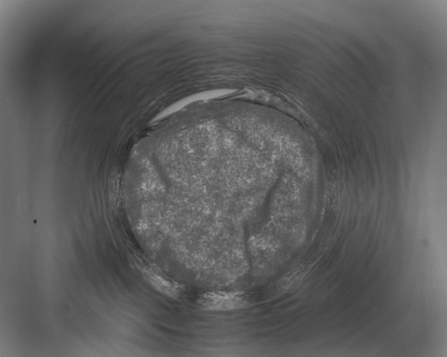 X0000081570093200702121433