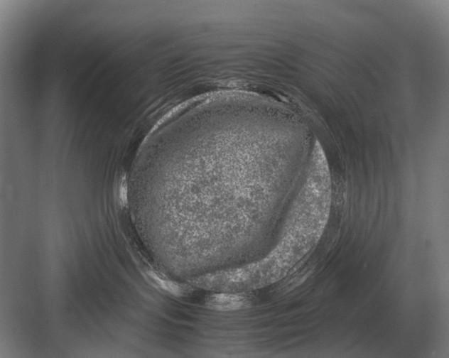 X0000081570095200702121433