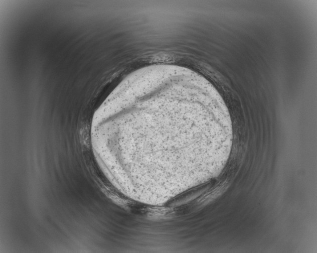 X0000081570096200702121433