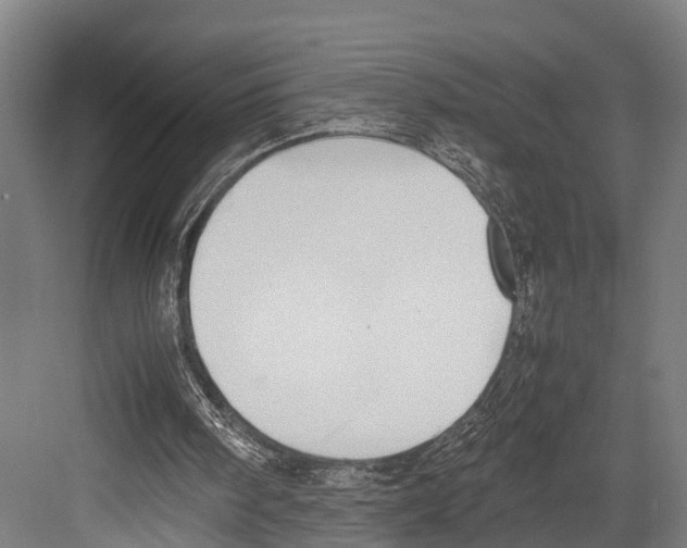 X0000081570098200702121432