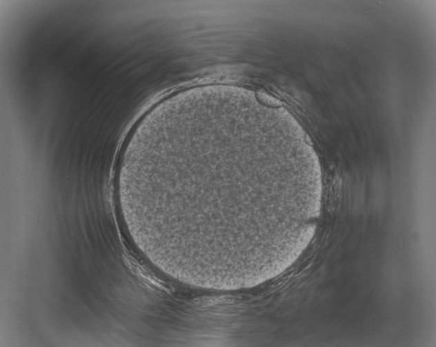 X0000081570100200702121432