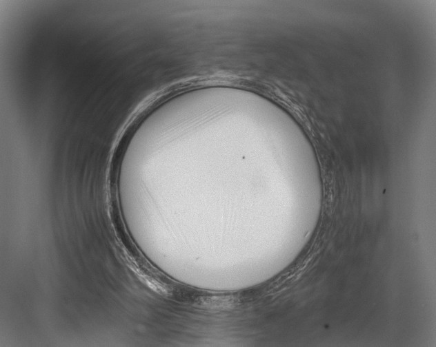 X0000081570102200702121432