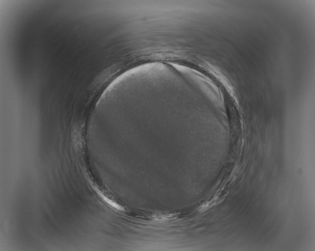 X0000081570105200702121432