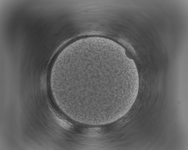 X0000081570108200702121432