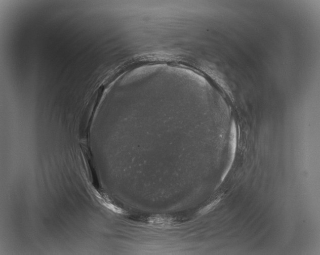 X0000081570109200702121432