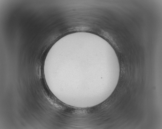 X0000081570110200702121432