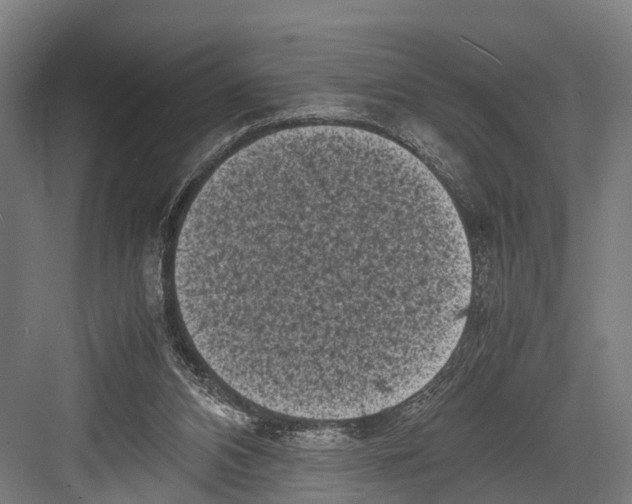 X0000081570112200702121432