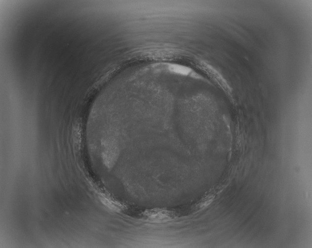 X0000081570113200702121432