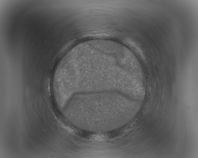 X0000081570115200702121432