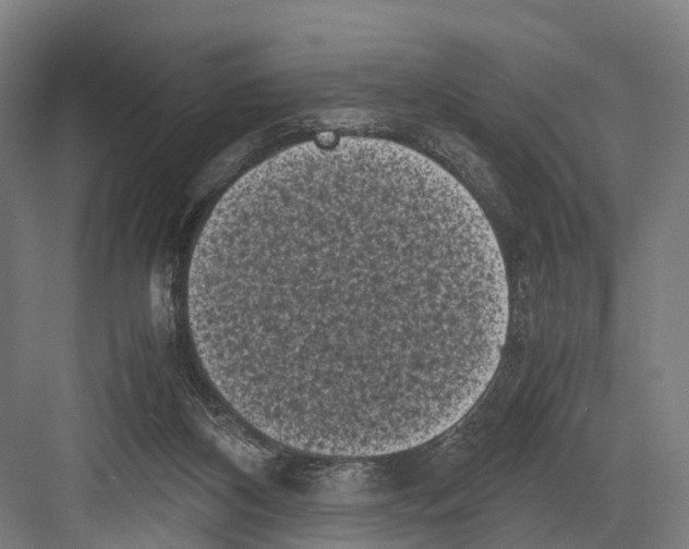 X0000081570116200702121432