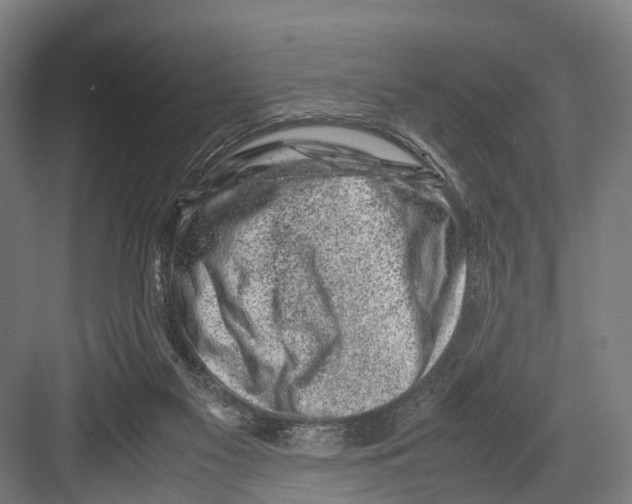 X0000081570117200702121432