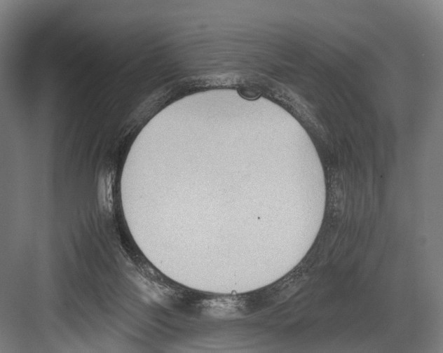 X0000081570118200702121432