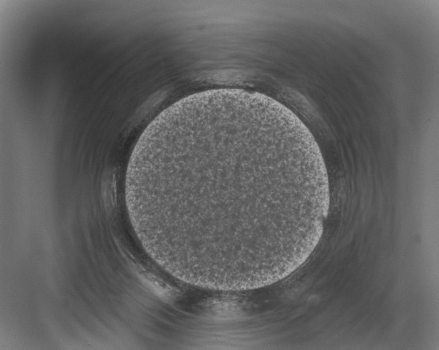 X0000081570120200702121432