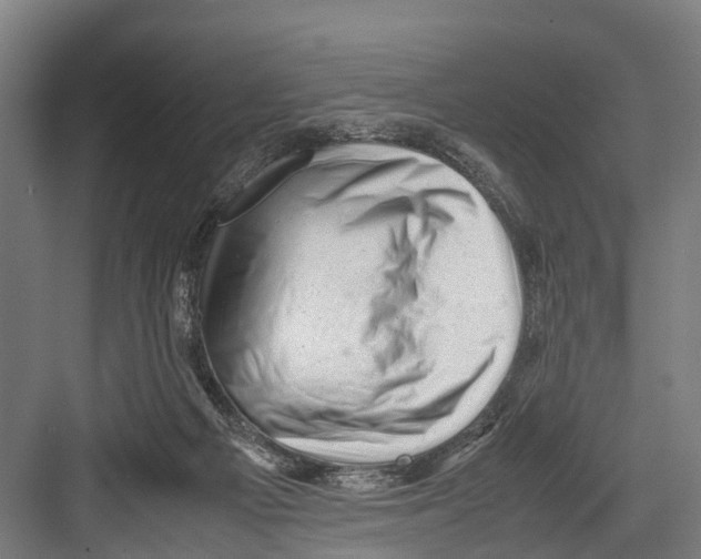 X0000081570121200702121432