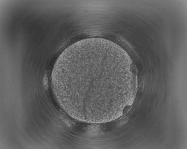 X0000081570124200702121432