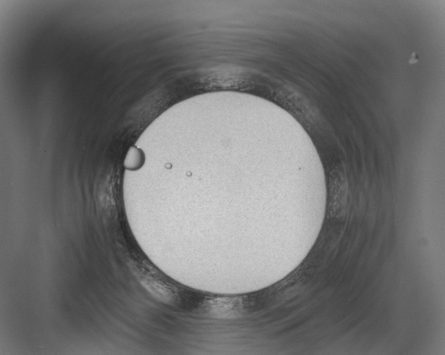 X0000081570126200702121432